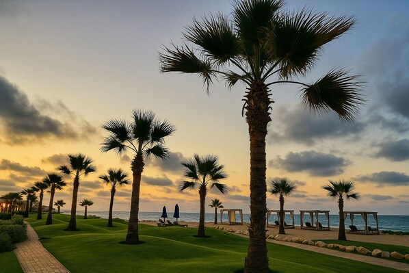 Enjoy a tranquil beachfront setting with palm trees and ocean views.