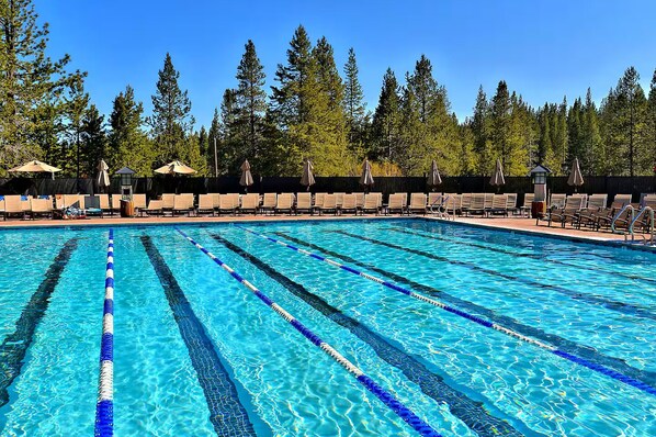A swimming pool with clear blue water, surrounded by lounge chairs and umbrellas, with a forested background.