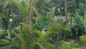 Un exuberante jardín con diversas plantas tropicales y una maceta decorativa grande.