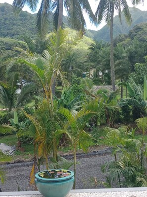 Stroll through a serene garden surrounded by lush greenery and a tranquil pond.