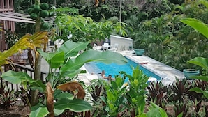 Una piscina rodeada de exuberante vegetación, con un pequeño edificio al fondo.