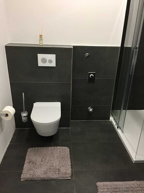 Regadera, secadora de cabello, toallas, papel de baño 