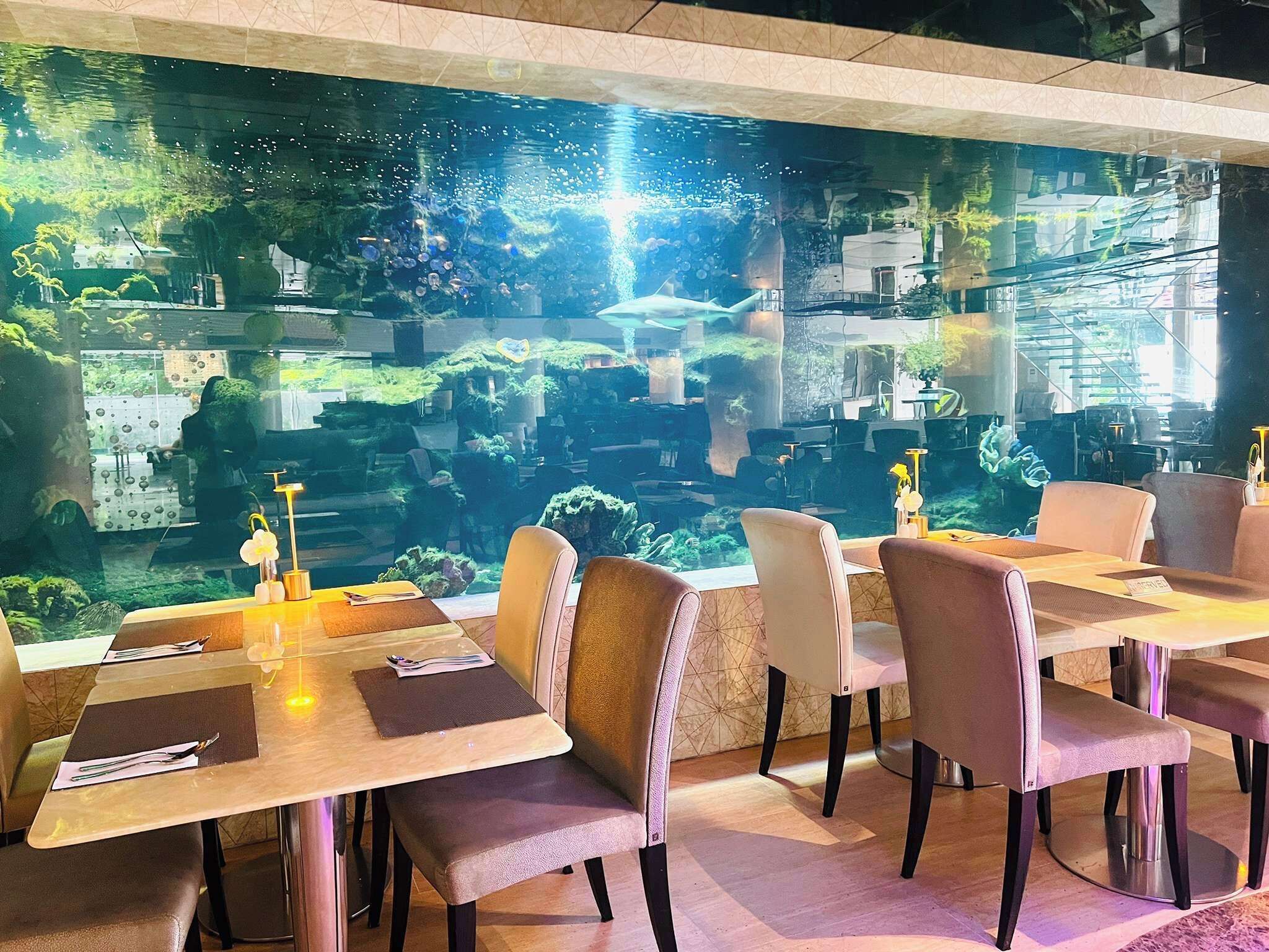 A restaurant with tables and chairs, a large aquarium with fish and plants, and a view of the outside.