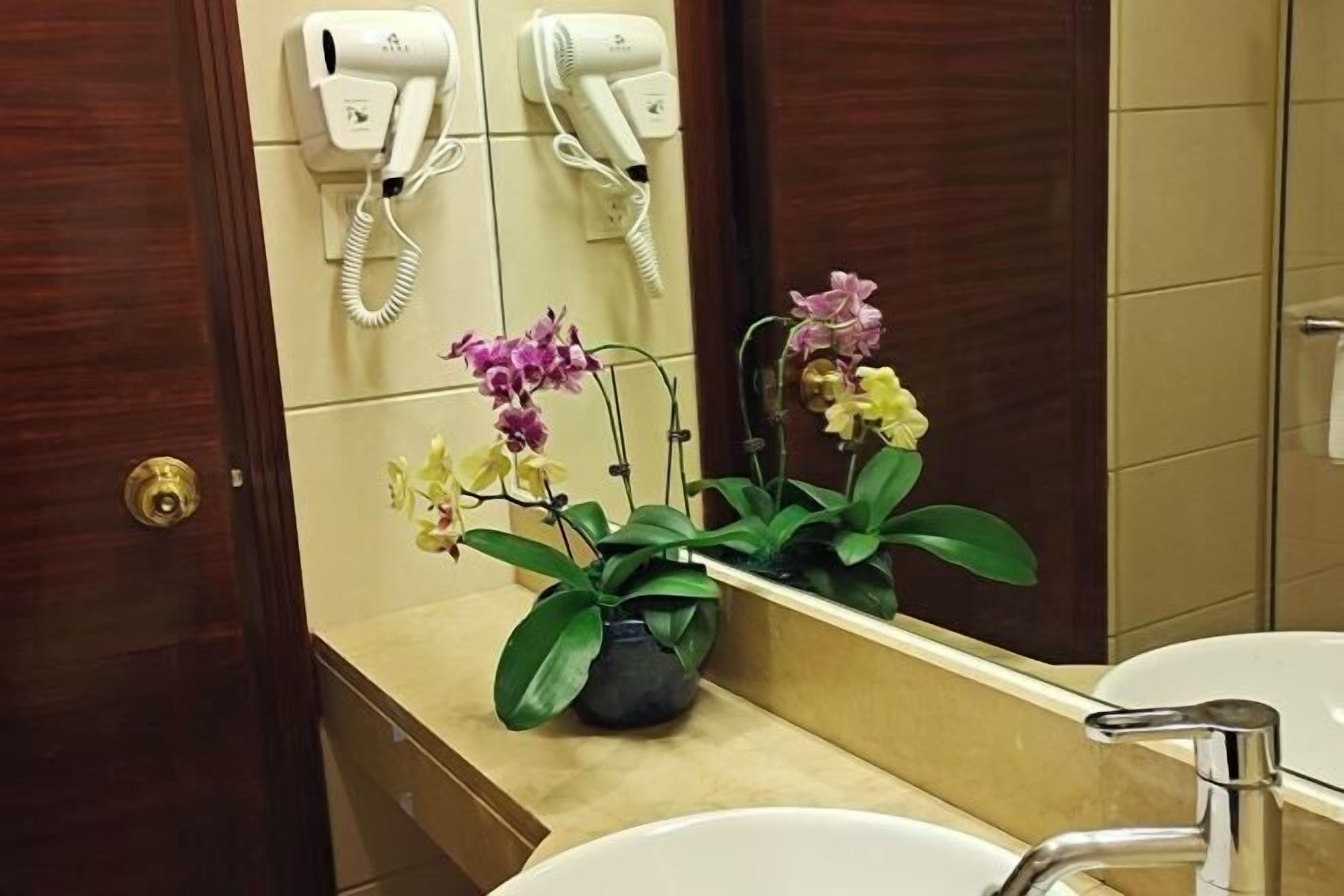A bathroom with a sink, a mirror, and two hair dryers mounted on the wall.