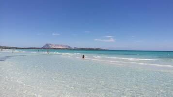 Playa en los alrededores