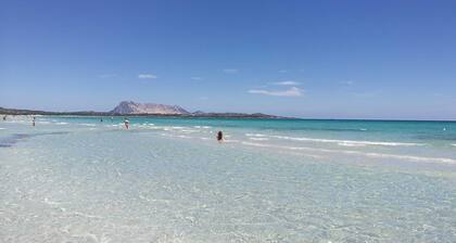 Maison de vacances 'Villetta Agli Ulivi' près de la plage de La Cinta avec jardin et climatisation