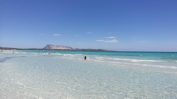 Vlak bij het strand
