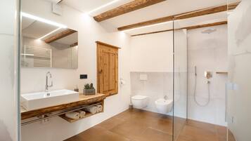Dusche, Haartrockner, Handtücher