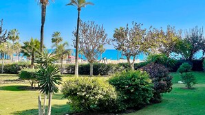 Ein angelegter Garten mit Palmen, Sträuchern und Blick auf den Ozean.