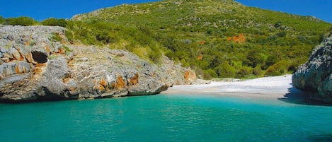 Plage à proximité