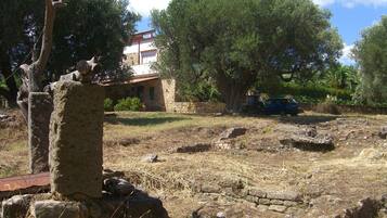 Parco della struttura