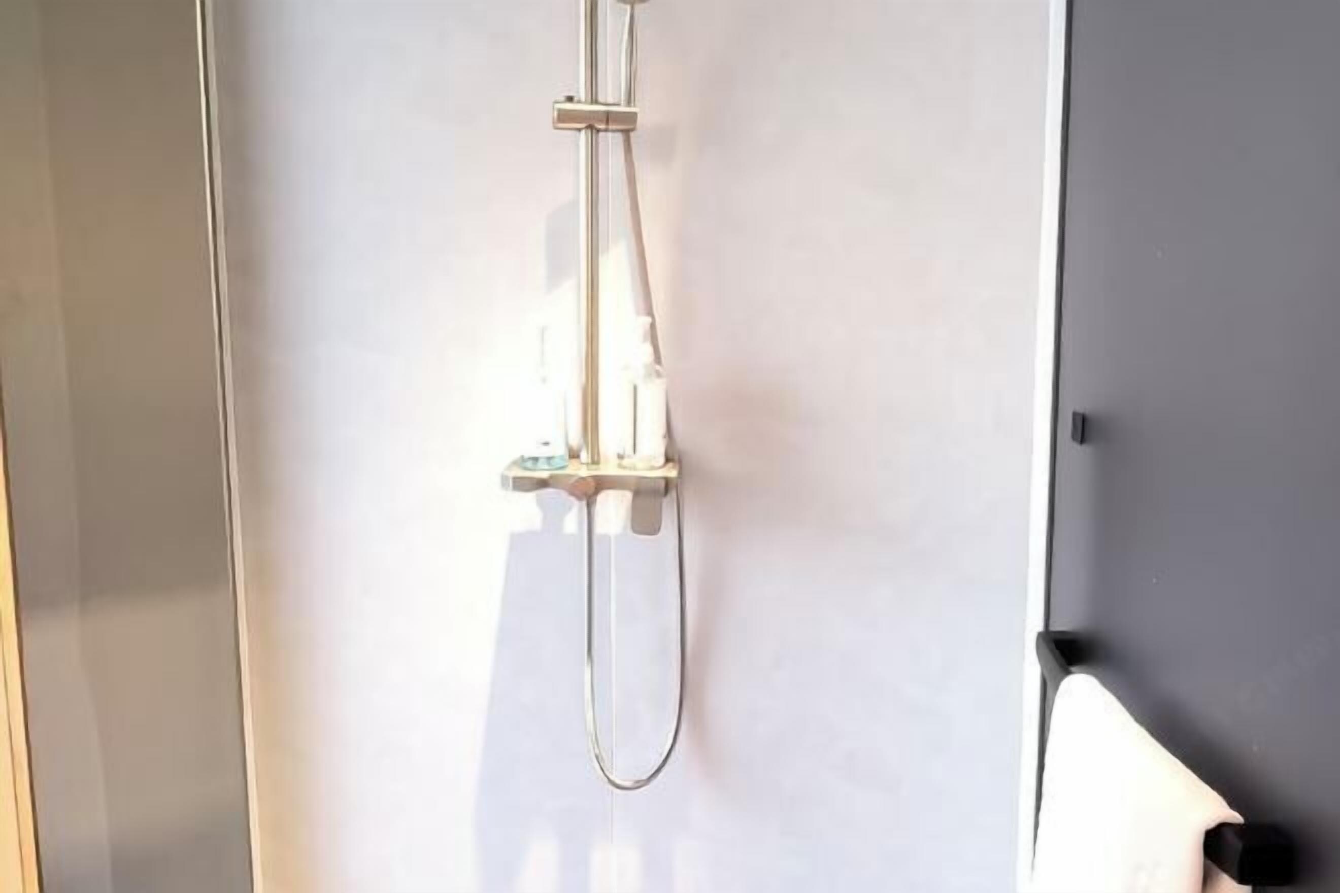 Ducha con cabezal de mano y panel de control en la pared.