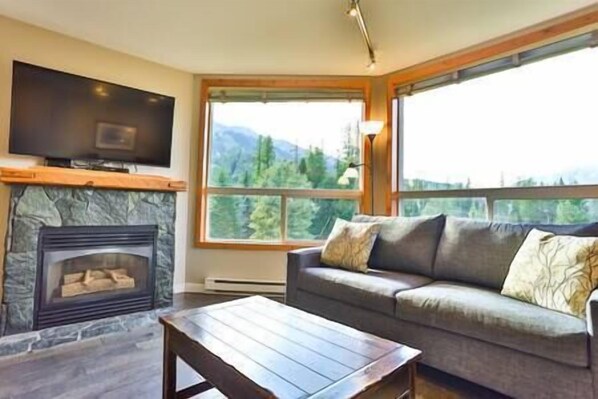 TV, fireplace