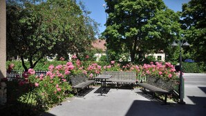 Un parque con bancos y flores rosadas.