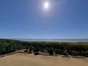 A beach with a clear sky, a sandy area, and a line of trees.
