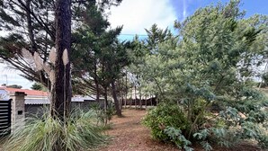 Een tuin met diverse bomen en struiken, een onverhard pad en een gebouw met rood dak op de achtergrond.