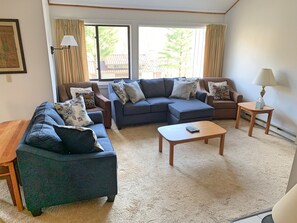 Televisión, chimenea y libros 