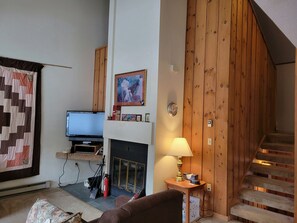 Televisión, chimenea y libros 