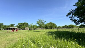 Ein grasbewachsenes Feld mit Holzzaun, einem kleinen Gebäude und roten Stühlen.