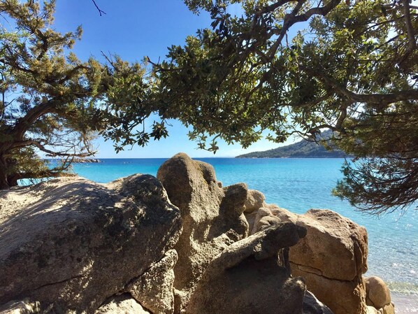 Plage à proximité