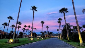 A street lined with tall palm trees and well-maintained lawns, leading towards a building with a distinct architectural style.