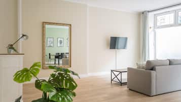 Flachbildfernseher, Arbeitsbereiche