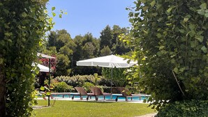 A pool area with lounge chairs and umbrellas, surrounded by greenery.