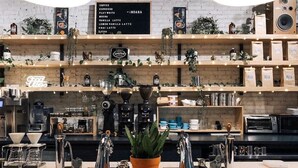 Ein Tresen eines Cafés mit einer Speisekarte, Kaffeeautomaten und einer Zimmerpflanze.