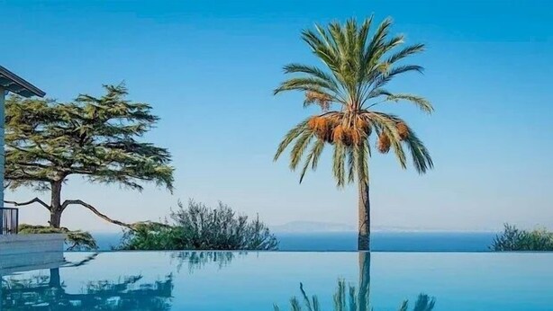 Une piscine avec un palmier et un grand arbre dont le reflet se mire dans l’eau.