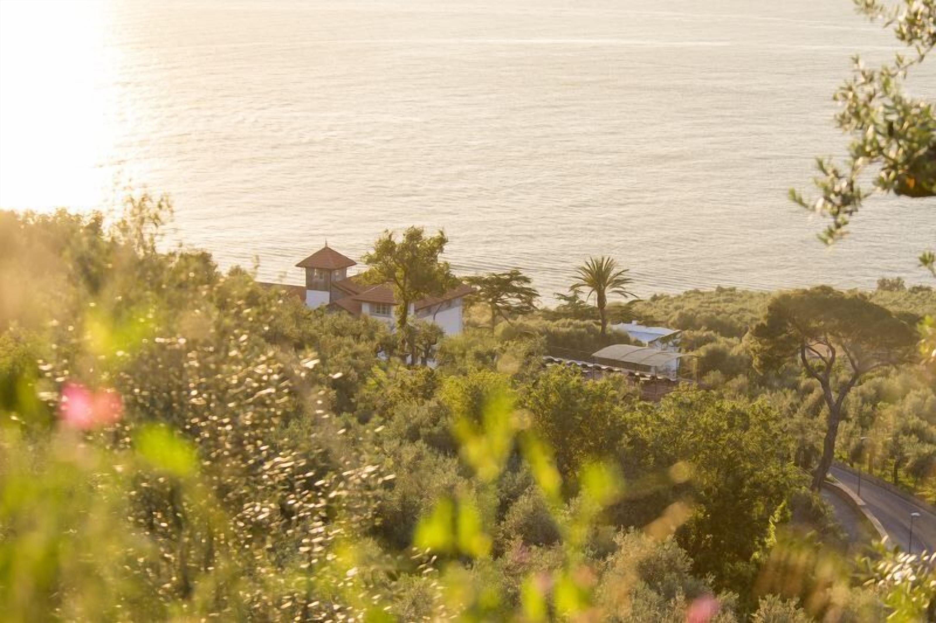 Une propriété située sur la côte, avec vue sur la mer, entourée de verdure et bordée par une route.