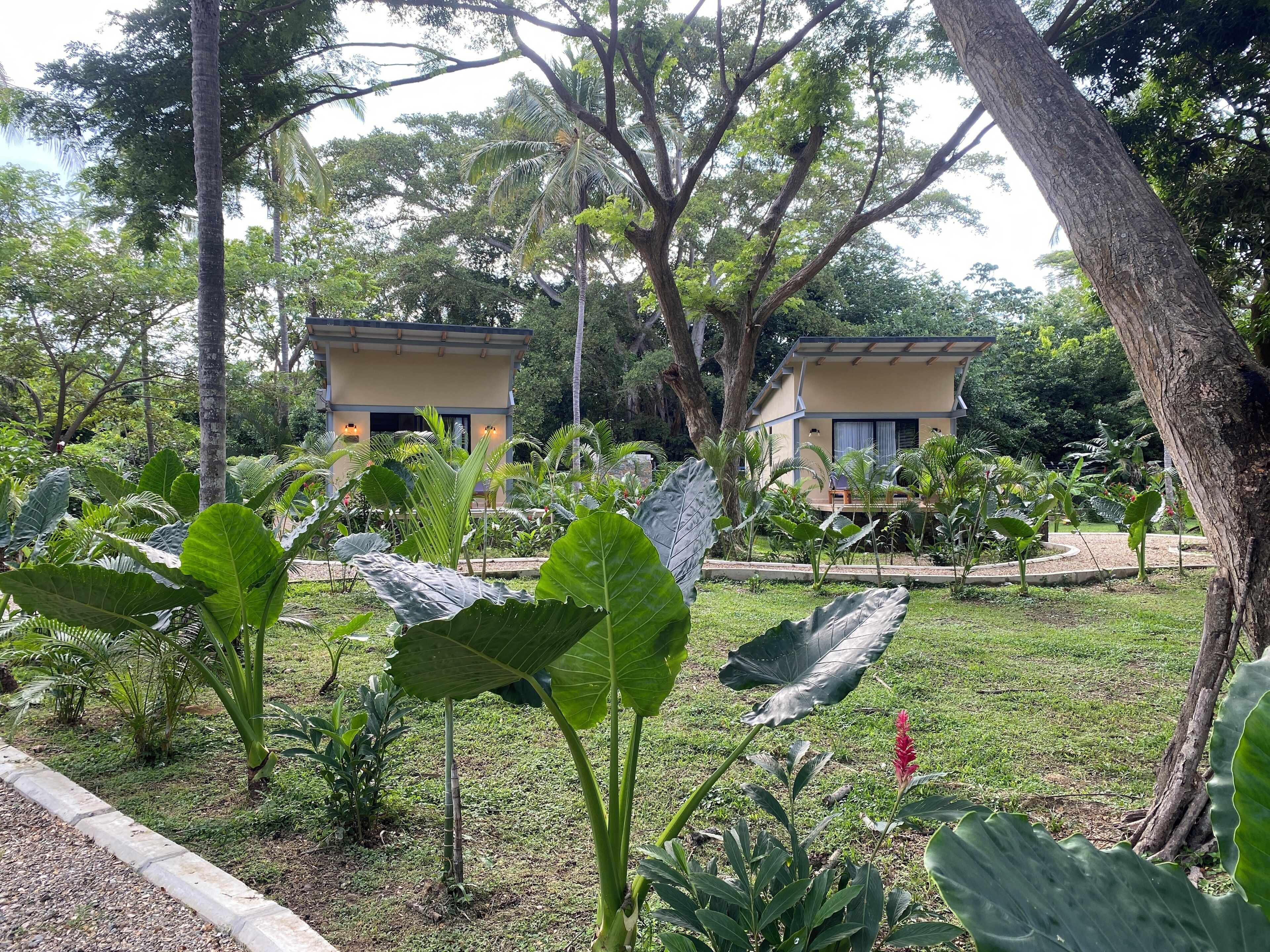 デラックス バンガロー | 高級寝具、客室ごとに異なる装飾、客室ごとに異なるインテリア、ベッドシーツ