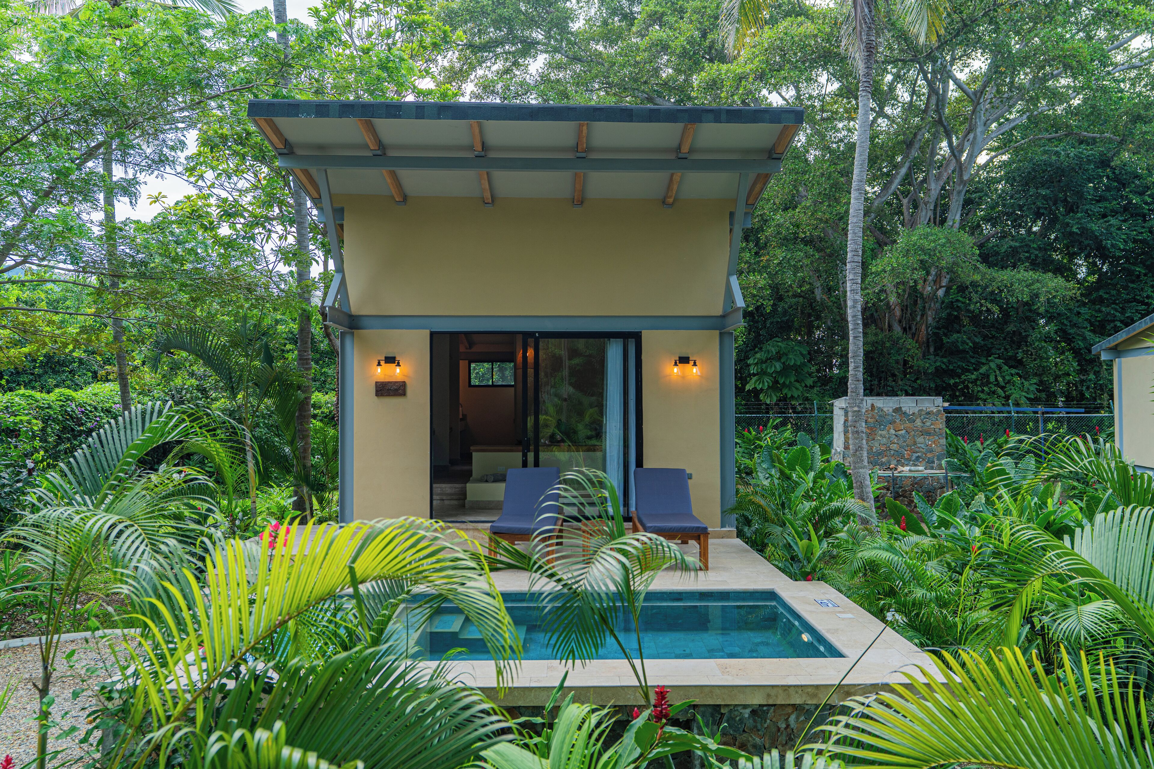 Ein modernes Haus mit Pool, umgeben von üppiger Vegetation.