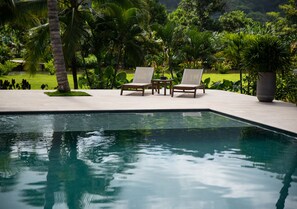 A pool with two lounge chairs and a potted plant. - Gardenia Springs - La Finca Buritaca (Santa Marta)
