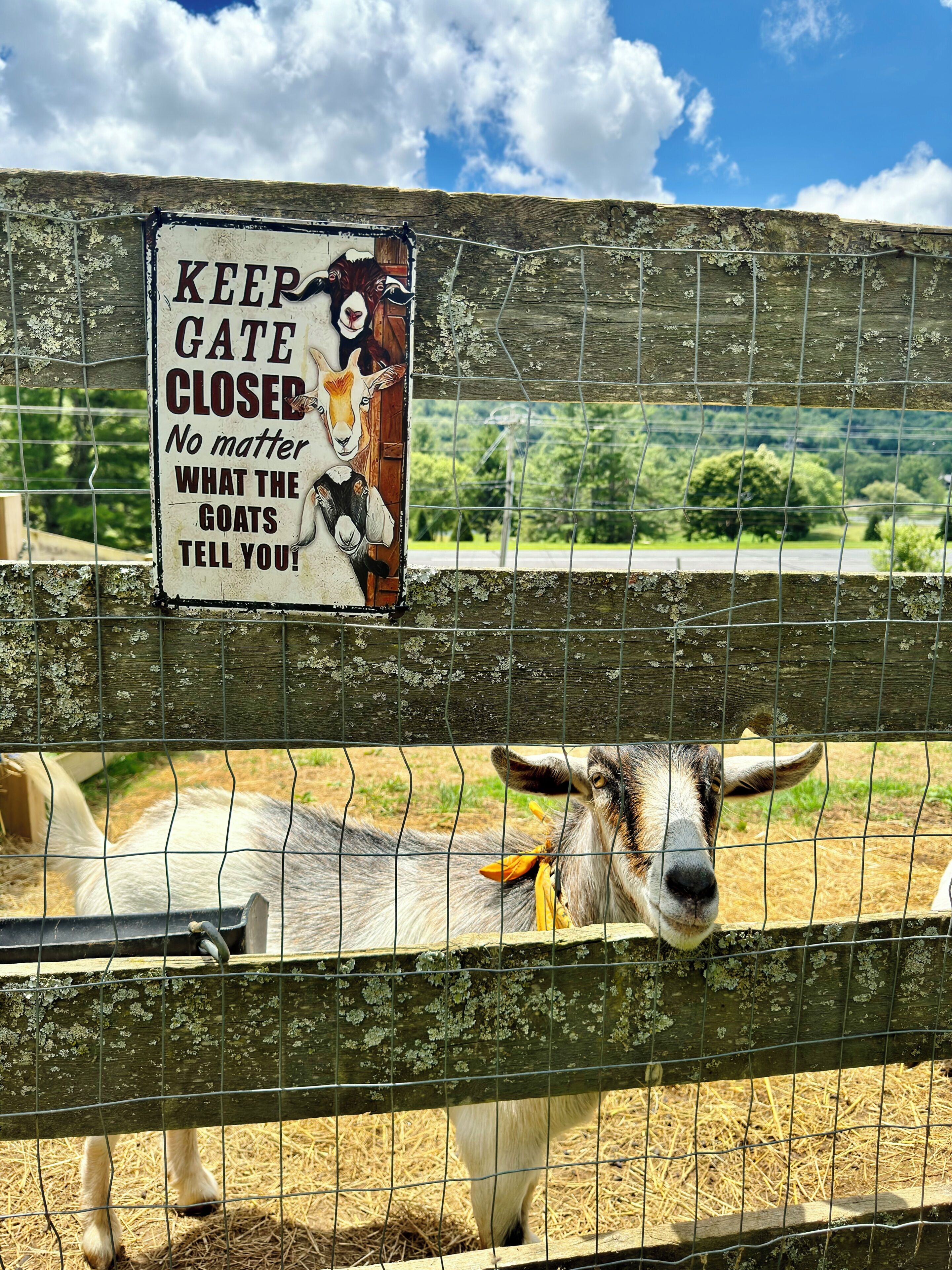 Une porte en bois sur laquelle est affiché un panneau indiquant : « GARDER LA PORTE FERMÉE, quoi que les chèvres vous disent ! »