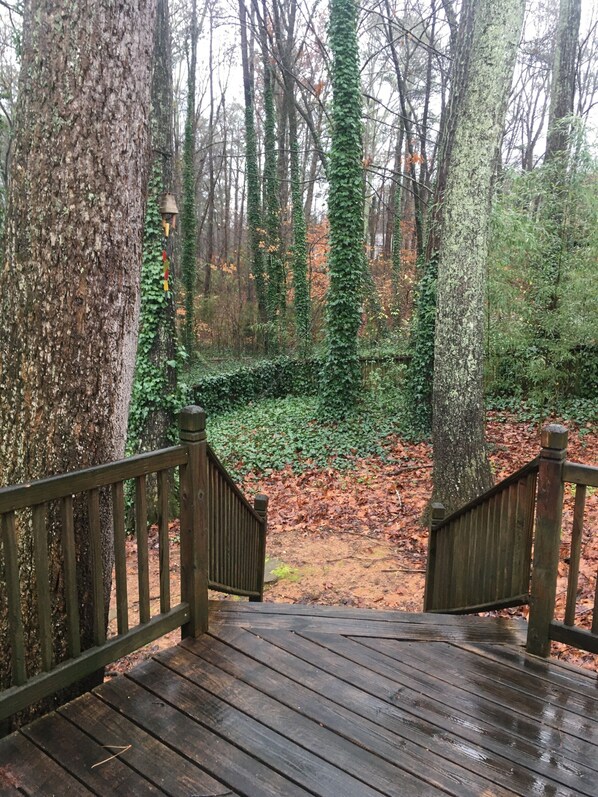 Step into the serene forest surroundings from this deck.