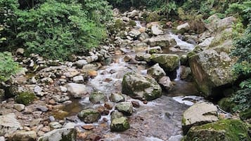 Vista aèria