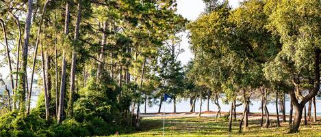 Un campo de golf con búnkeres de arena, árboles y cielo despejado.