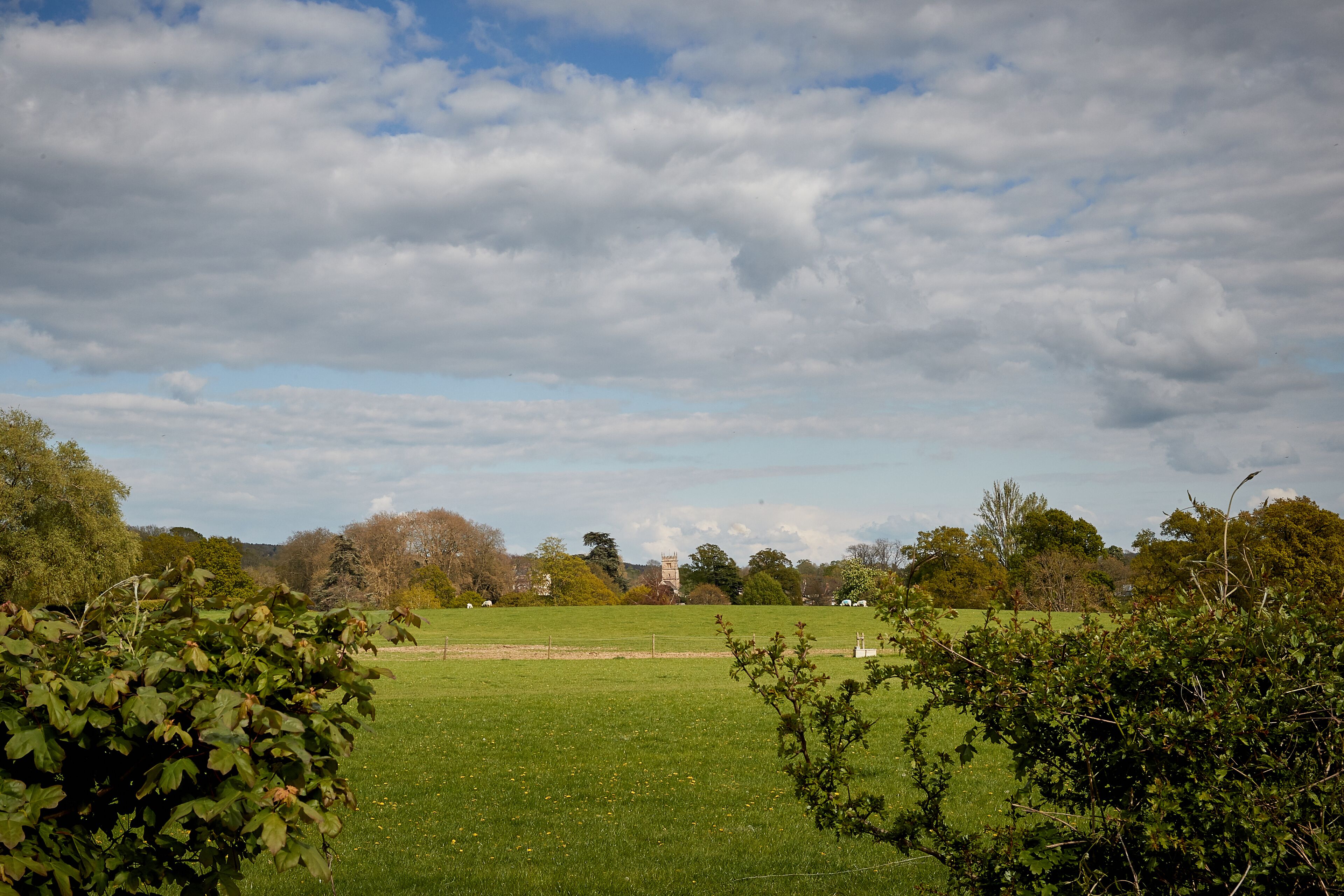 A rural landscape with a green field, trees, and a distant building.