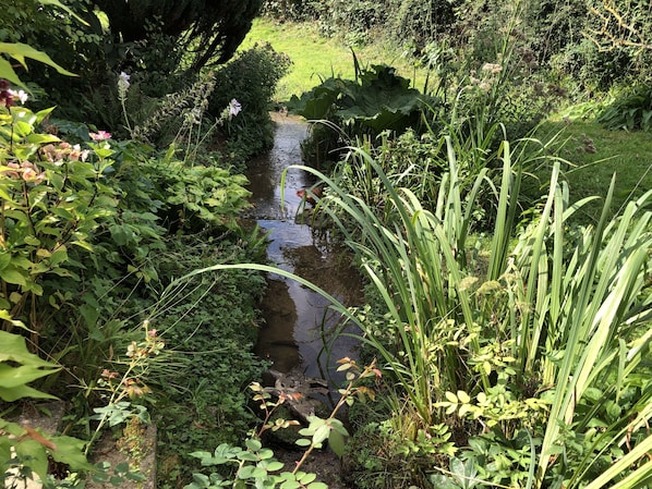Cottage | Property grounds
