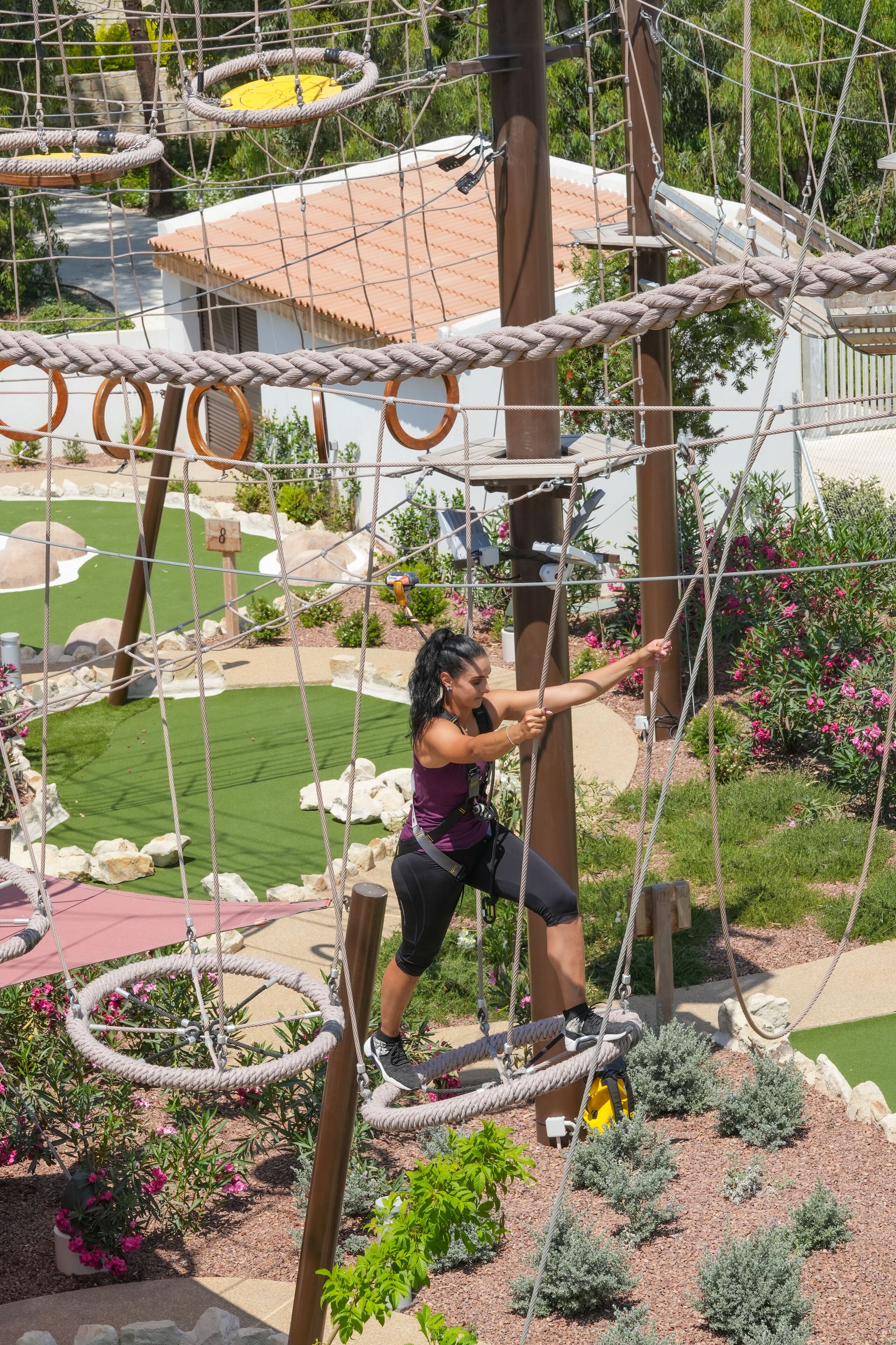 绳索课程（团队建设）