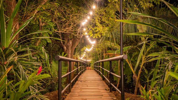 A wooden pathway with metal railings, surrounded by lush greenery and illuminated by string lights. - Selina River Venao (Las Escobas del Venado)