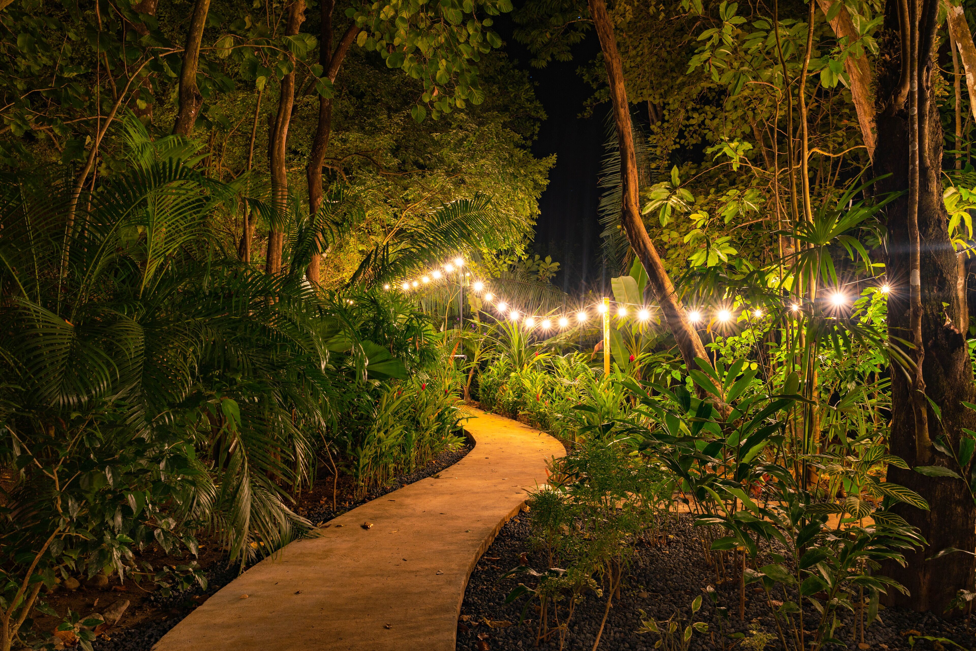 Un vialetto immerso in un giardino rigoglioso, illuminato da luci a catena.