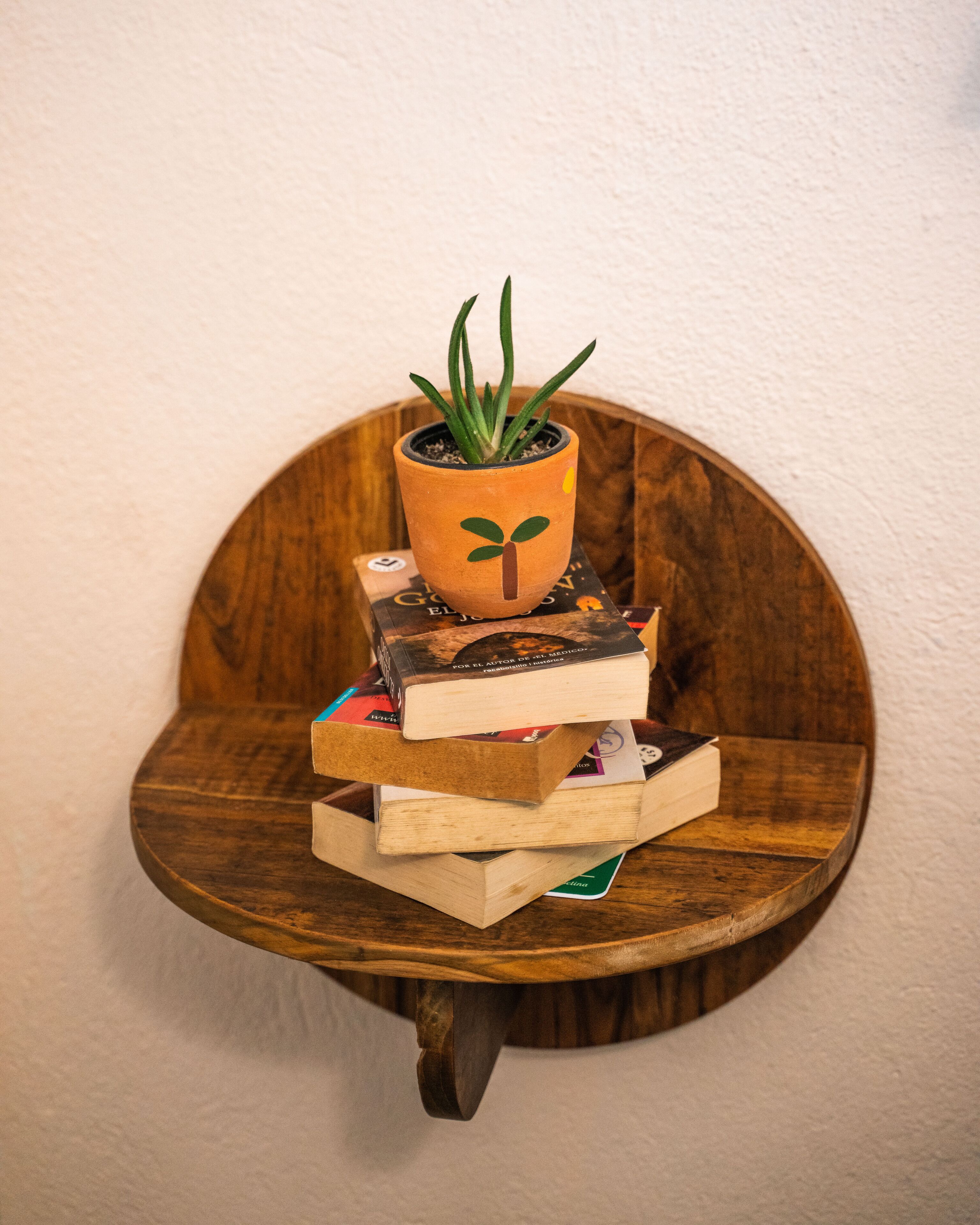 A wooden shelf with a potted plant and stacked books.