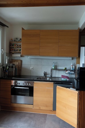 Fridge, oven, stovetop, dishwasher