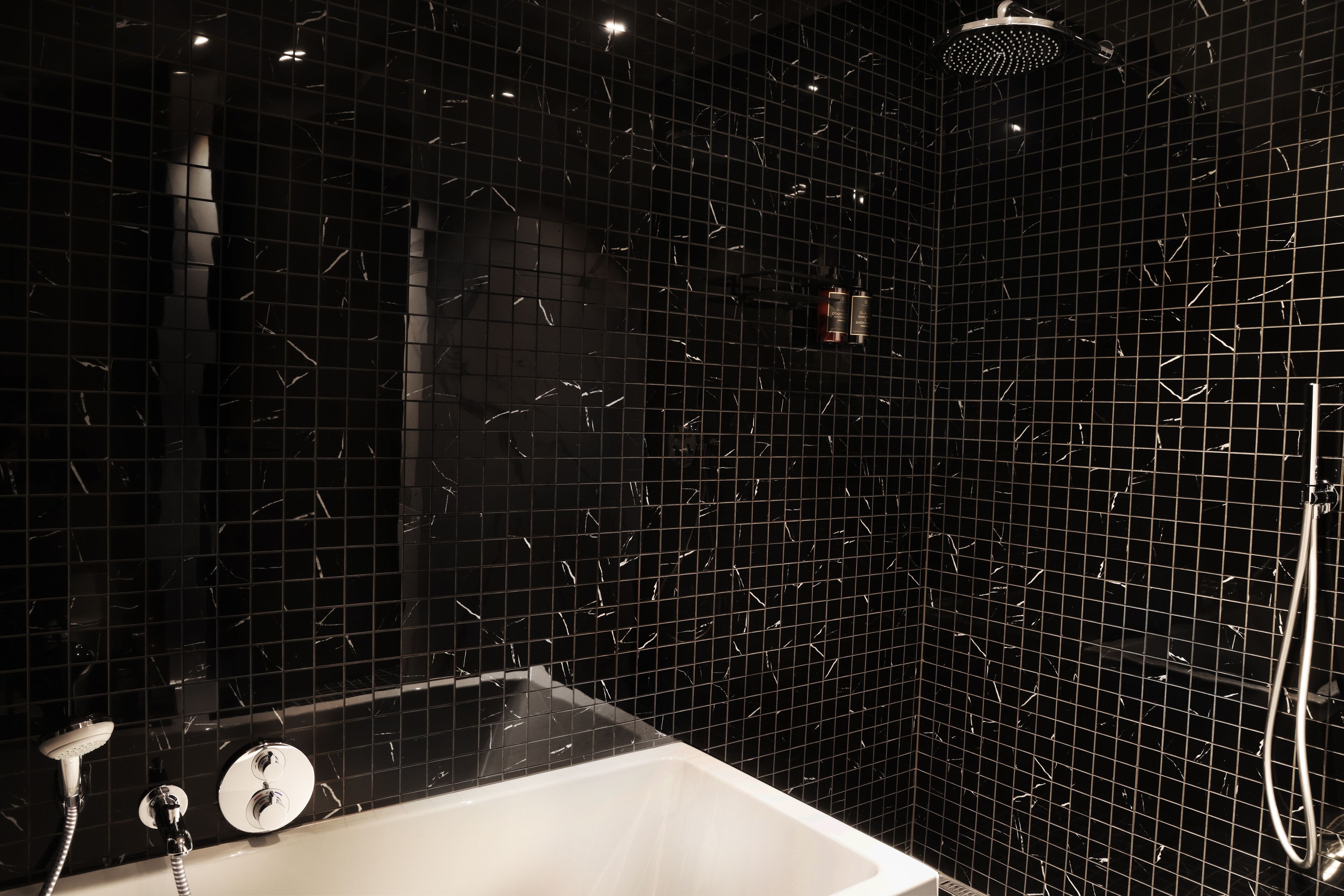 Executive Suite | Bathroom