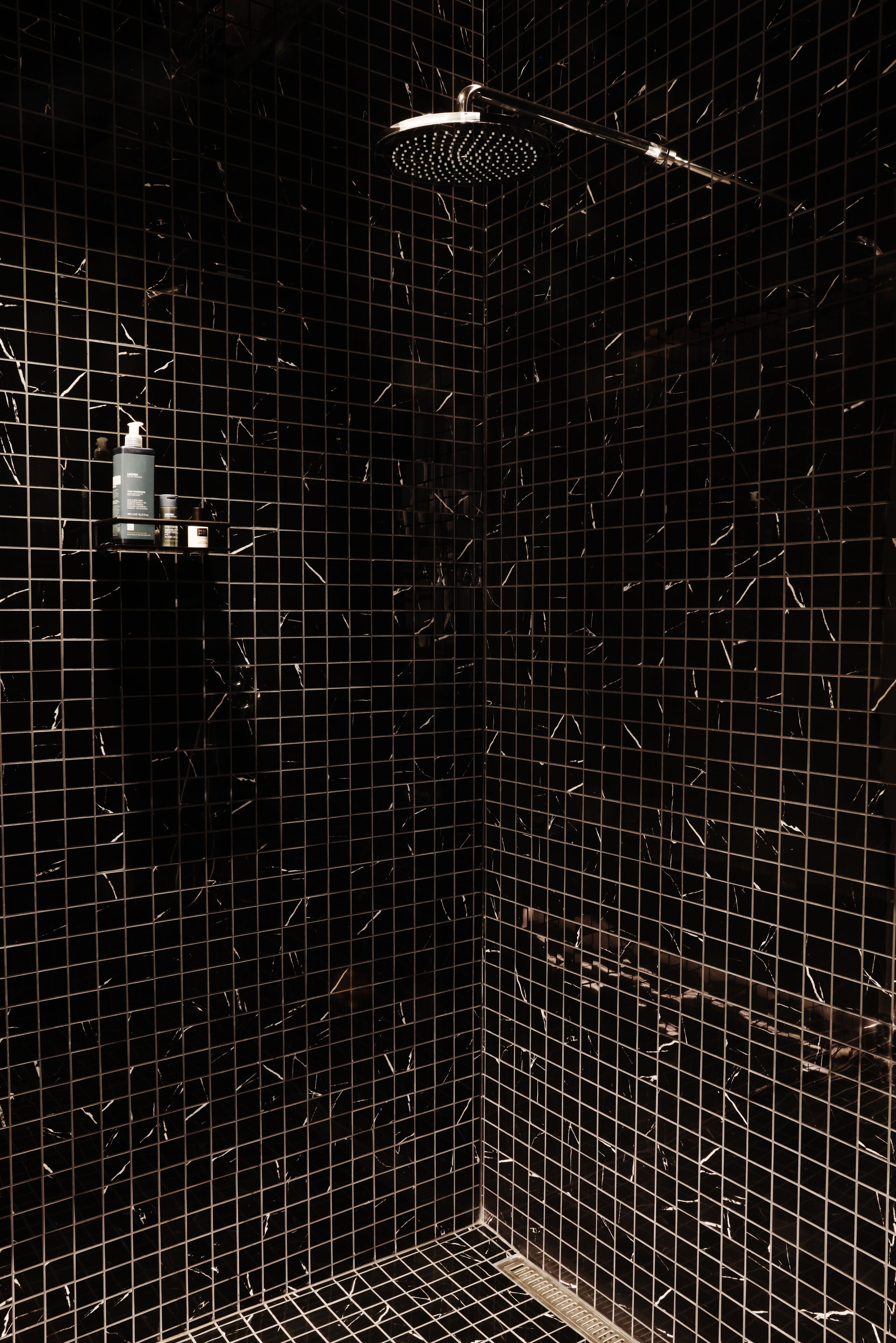 shower, rainfall showerhead, free toiletries, hair dryer