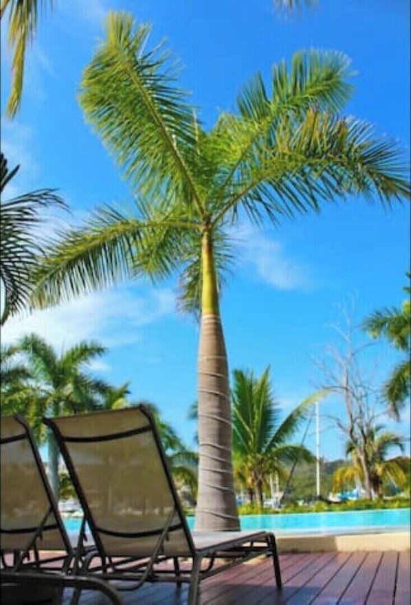Alberca al aire libre 