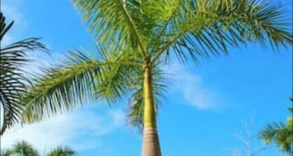 Marina-front Apartment in Ixtapa nearby beaches and cycling trail!