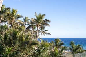 A beach with palm trees and a clear view of the ocean.