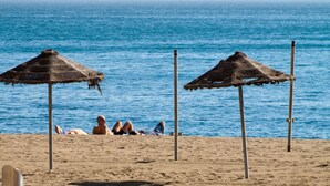 Una playa con dos sombrillas de paja y una orilla arenosa.